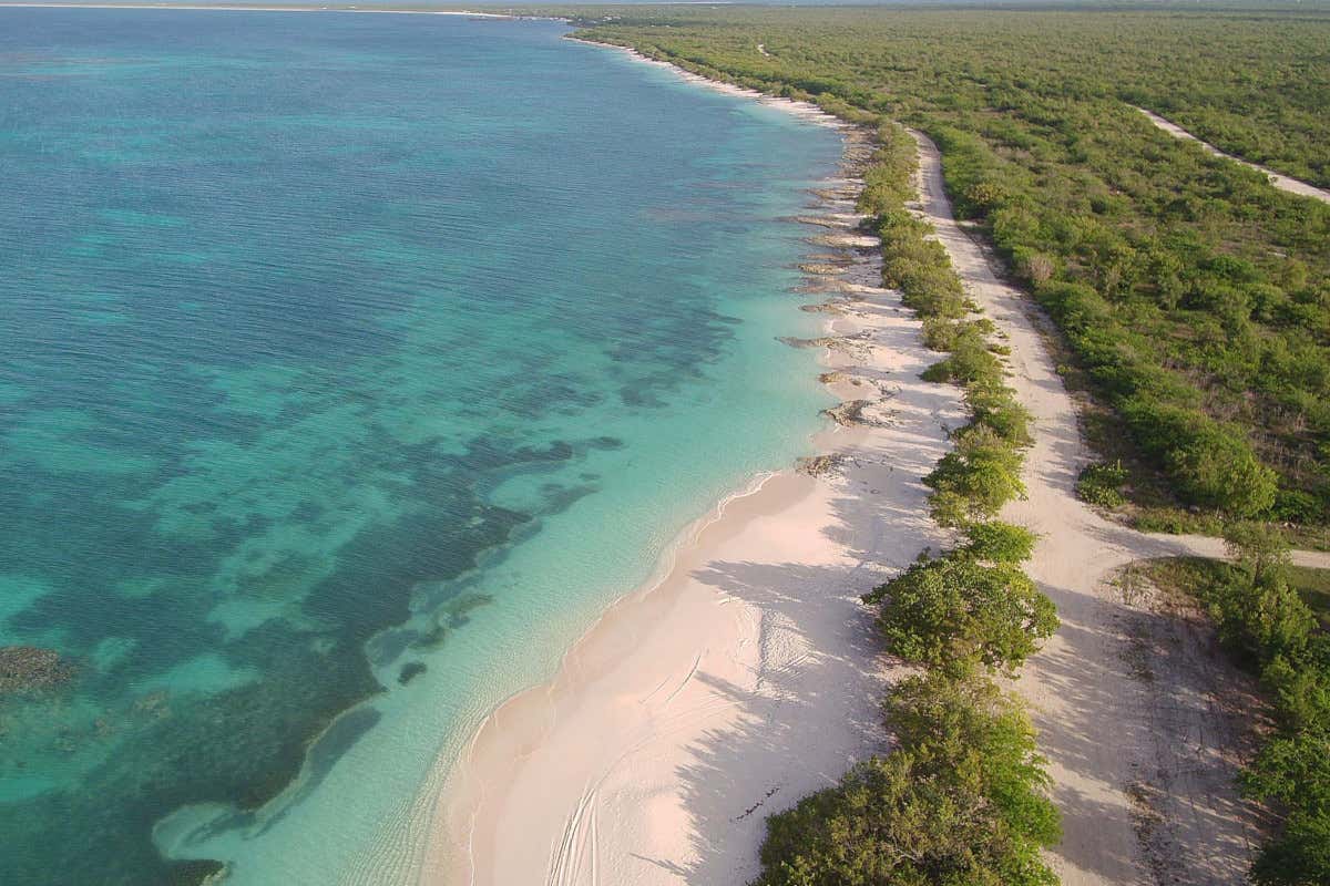 Alla scoperta dell'isola di Barbuda: otto luoghi da non perdere Alla scoperta dell'isola di Barbuda: otto luoghi da non perdere