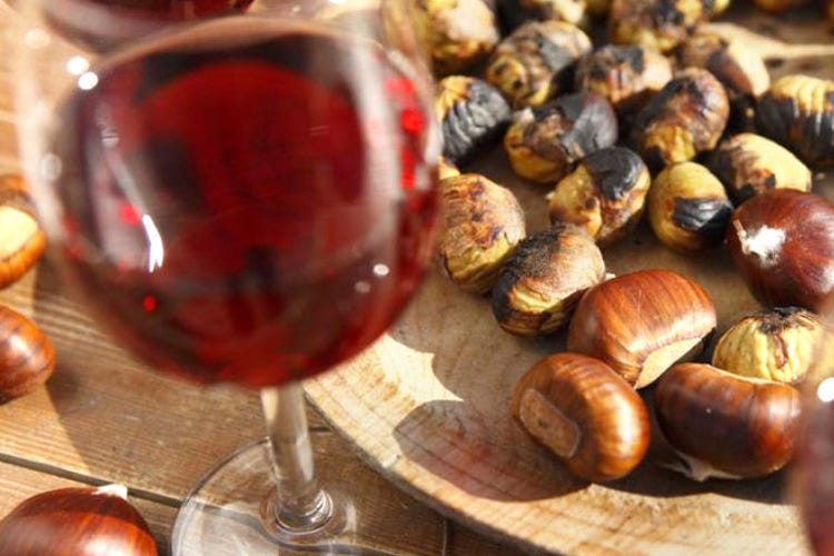 Vino rosso e castagne, un abbinamento tipico dell'autunno (Bardolino e castagne Accoppiata sul Monte Baldo)