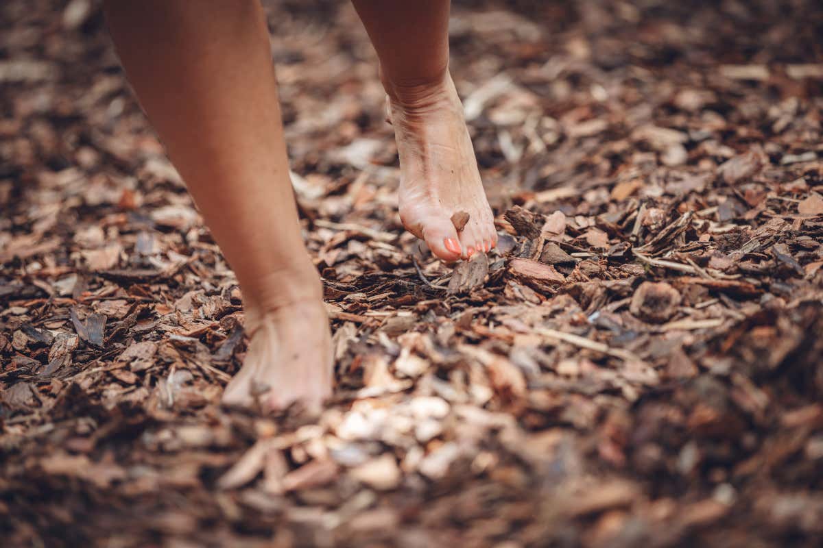 Nel Garda Trentino c'è un parco dove si cammina a piedi nudi