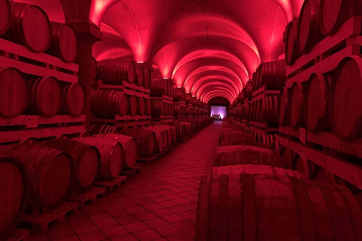 Berta: il nuovo museo multimediale racconta tre generazioni di grappa
Berta: il nuovo museo multimediale racconta tre generazioni di grappa