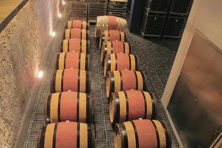 Barolo en primeur 2021, asta di solidarietà e gusto per sostenere il territorio