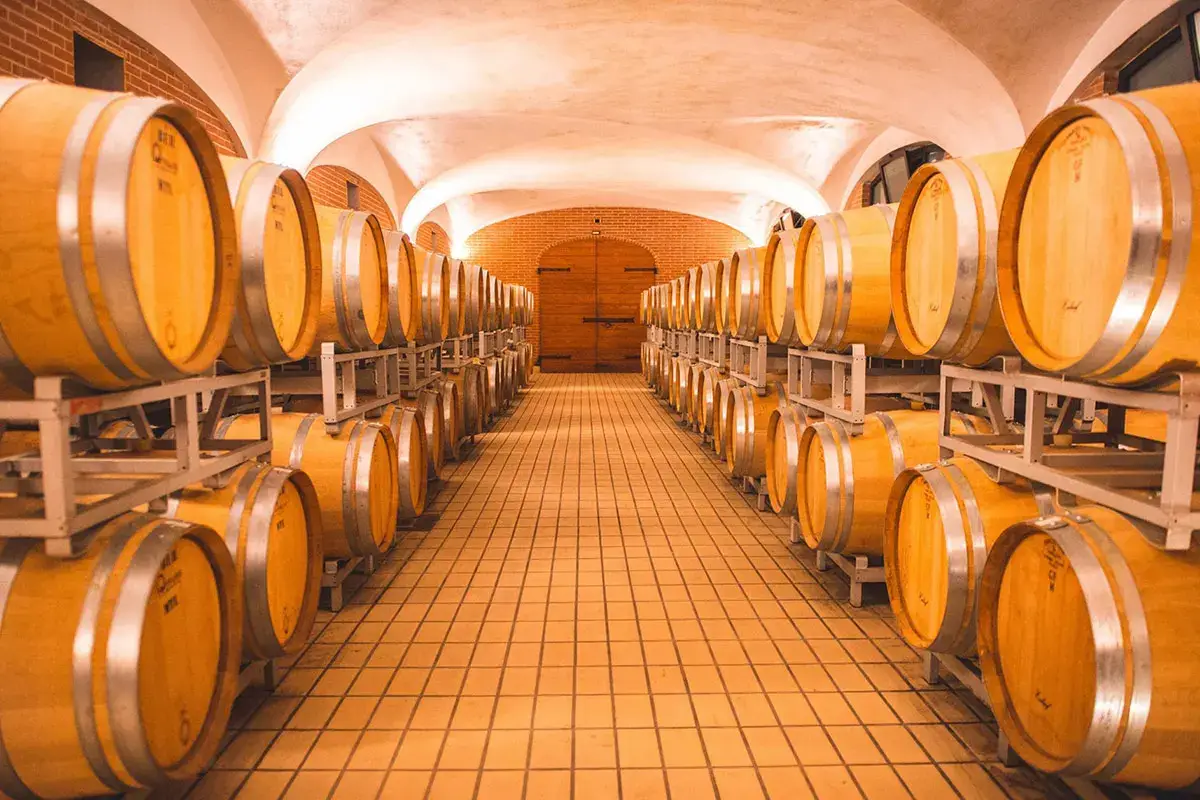 Barriques Lugana, da Cà Maiol esperienze sensoriali tra vino e natura