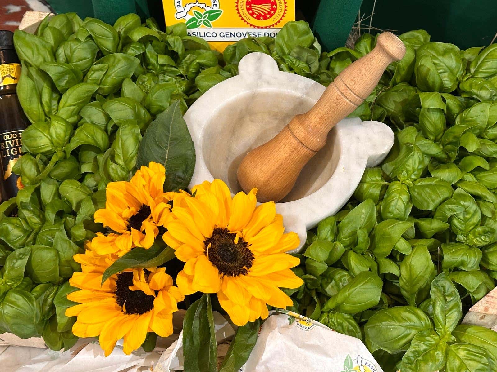 Il cuore del pesto è il basilico ligure che compie vent'anni di tutela Dop