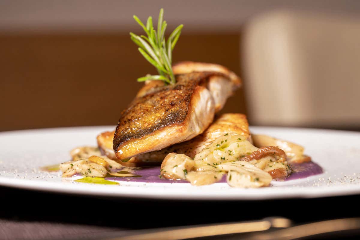 Circolo Wine Taste: quando la cucina parla sottovoce e il vino ascolta