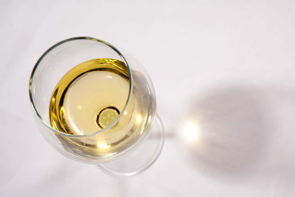 La cantina è ampia e guarda soprattutto al mondo dei vini bianchi