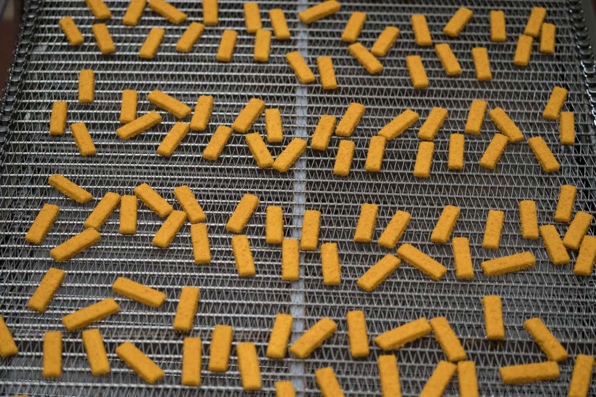 Bastoncini Findus, storia e curiosità di un mito intramontabile 