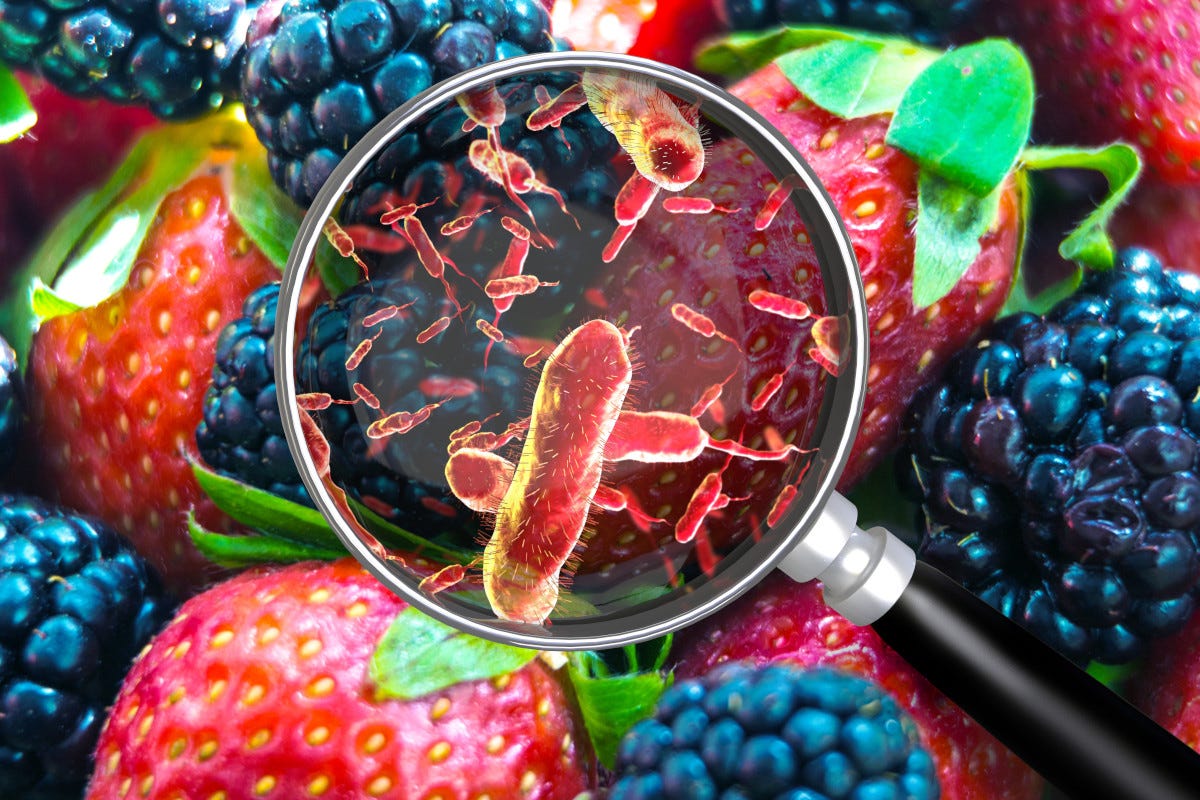Il pericolo microbiologico è rappresentato dallo sviluppo di microrganismi alterativi e patogeni Con le giuste temperature l'obiettivo sicurezza alimentare è assicurato
