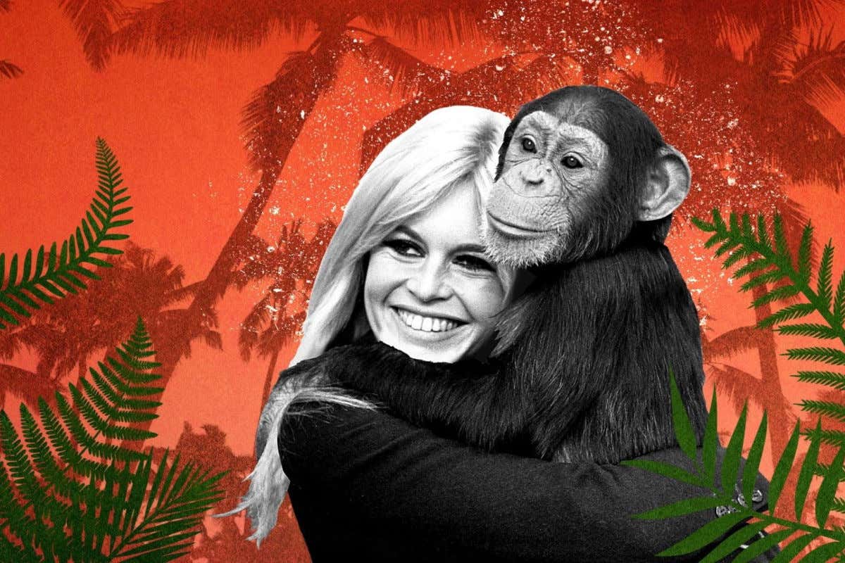 Brigitte Bardot in una delle immagini simbolo delle sue campagne animaliste