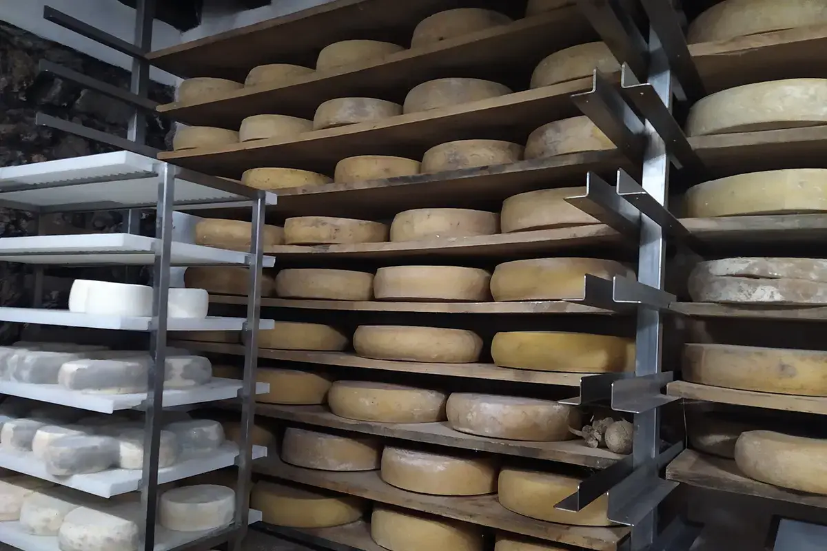 I formaggi Begnoc, in Val Trompia un gioiellino di caseificio