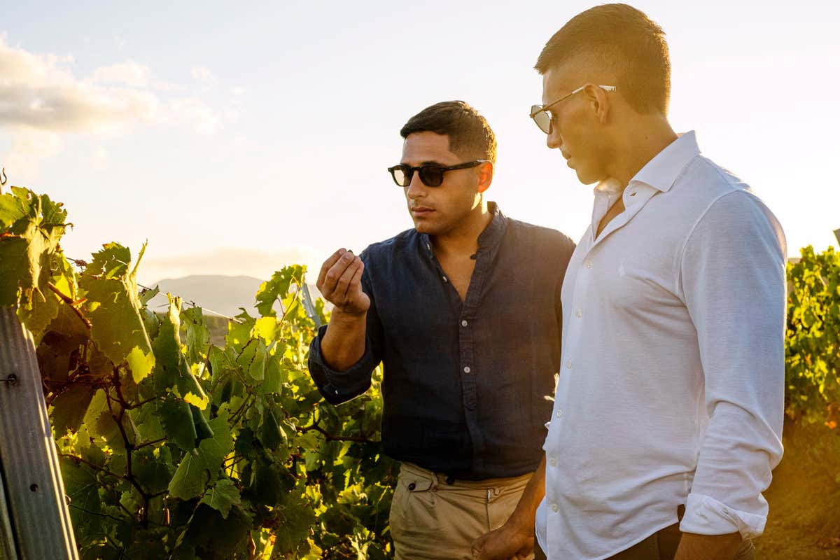 [Her Perricone] e [Coraline Frappato] di Brugnano, due vini ricchi di piacevolezza