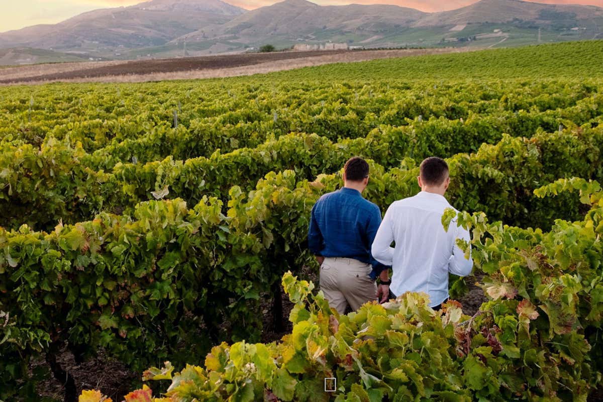 [Her Perricone] e [Coraline Frappato] di Brugnano, due vini ricchi di piacevolezza