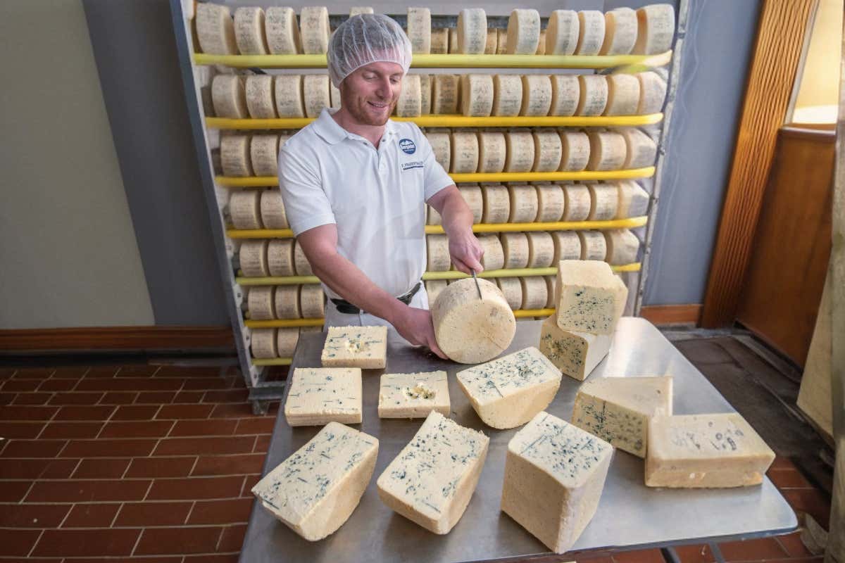 Latte fresco, erbe alpine e comunità: l’equilibrio alla base dei formaggi Bergader