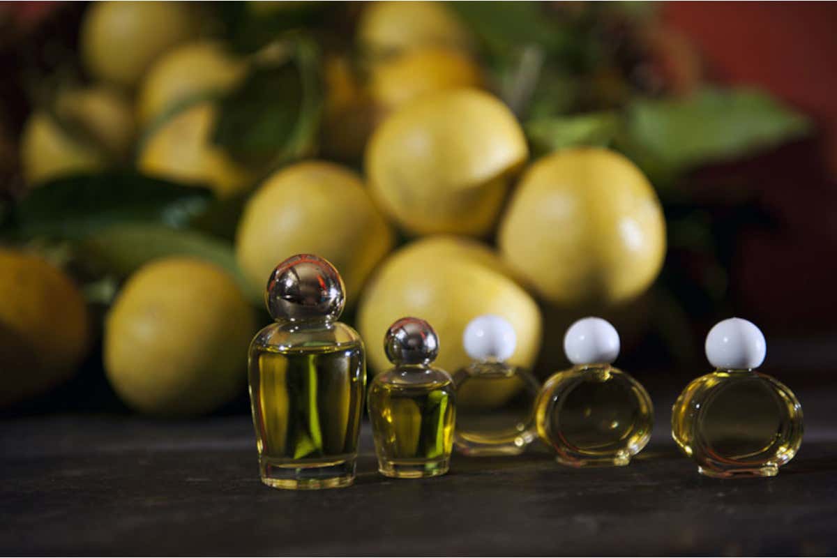 Dalla fiera DeGusto le “strategie” per promuovere meglio i prodotti di Calabria Dalla fiera DeGusto le “strategie” per promuovere meglio i prodotti di Calabria