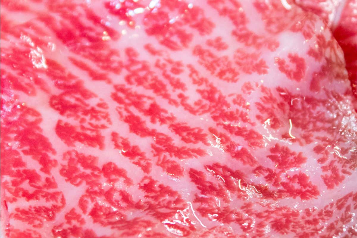 Ronin Robata porta nel centro di Milano l'antico rito dello Yakiniku