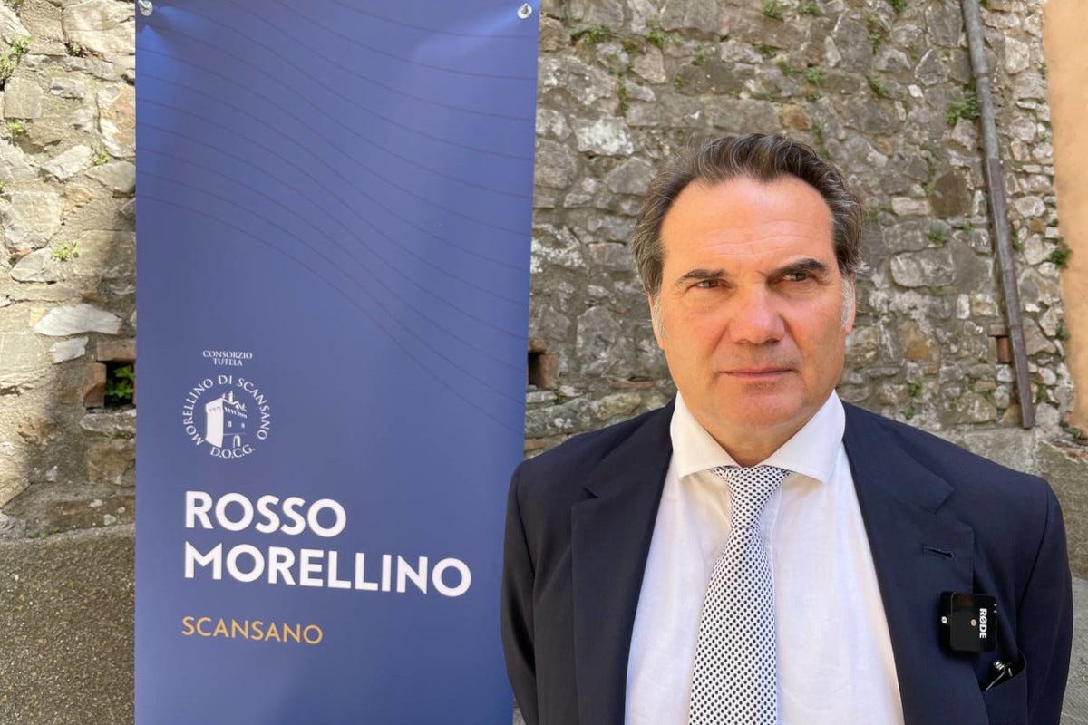 Bernardo Gucciardini Calamai, presidente del Consorzio  Dalla montagna al mare: l'importanza del territorio per il Morellino di Scansano