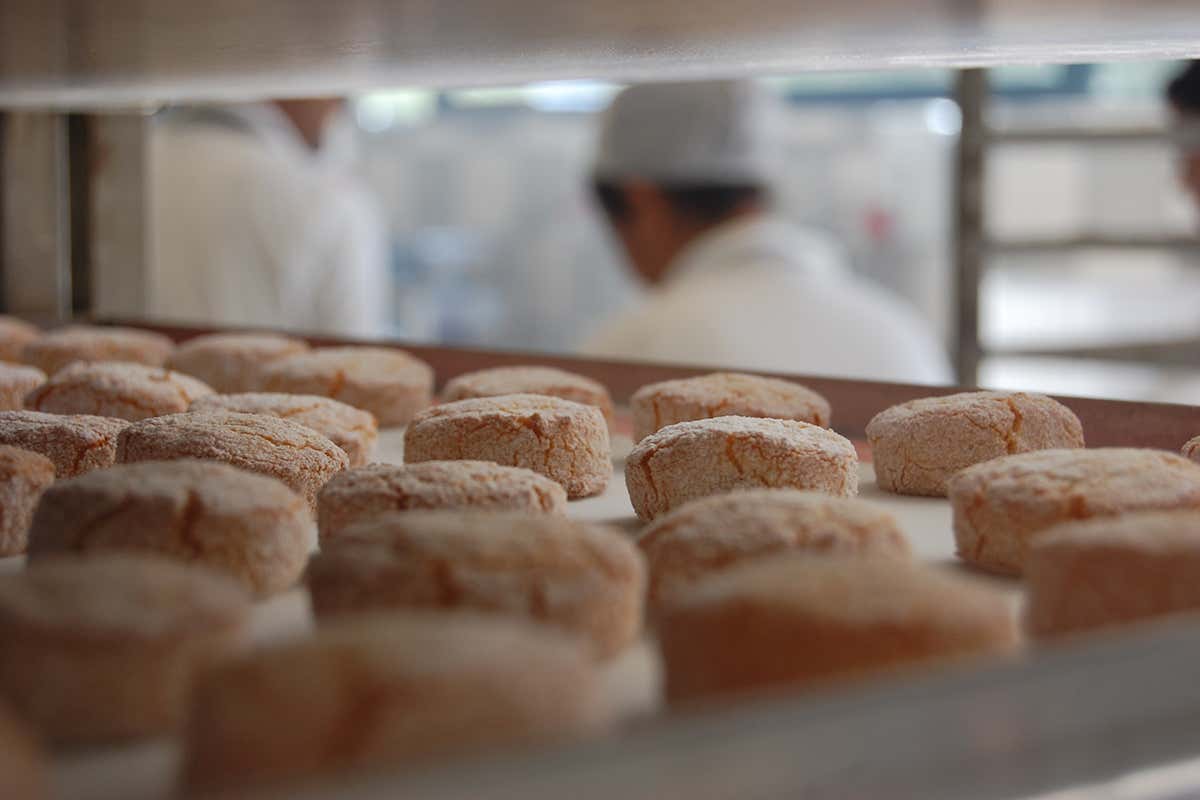 I tipici amaretti di Mombaruzzo Distillerie Berta, la grappa per raccontare un territorio