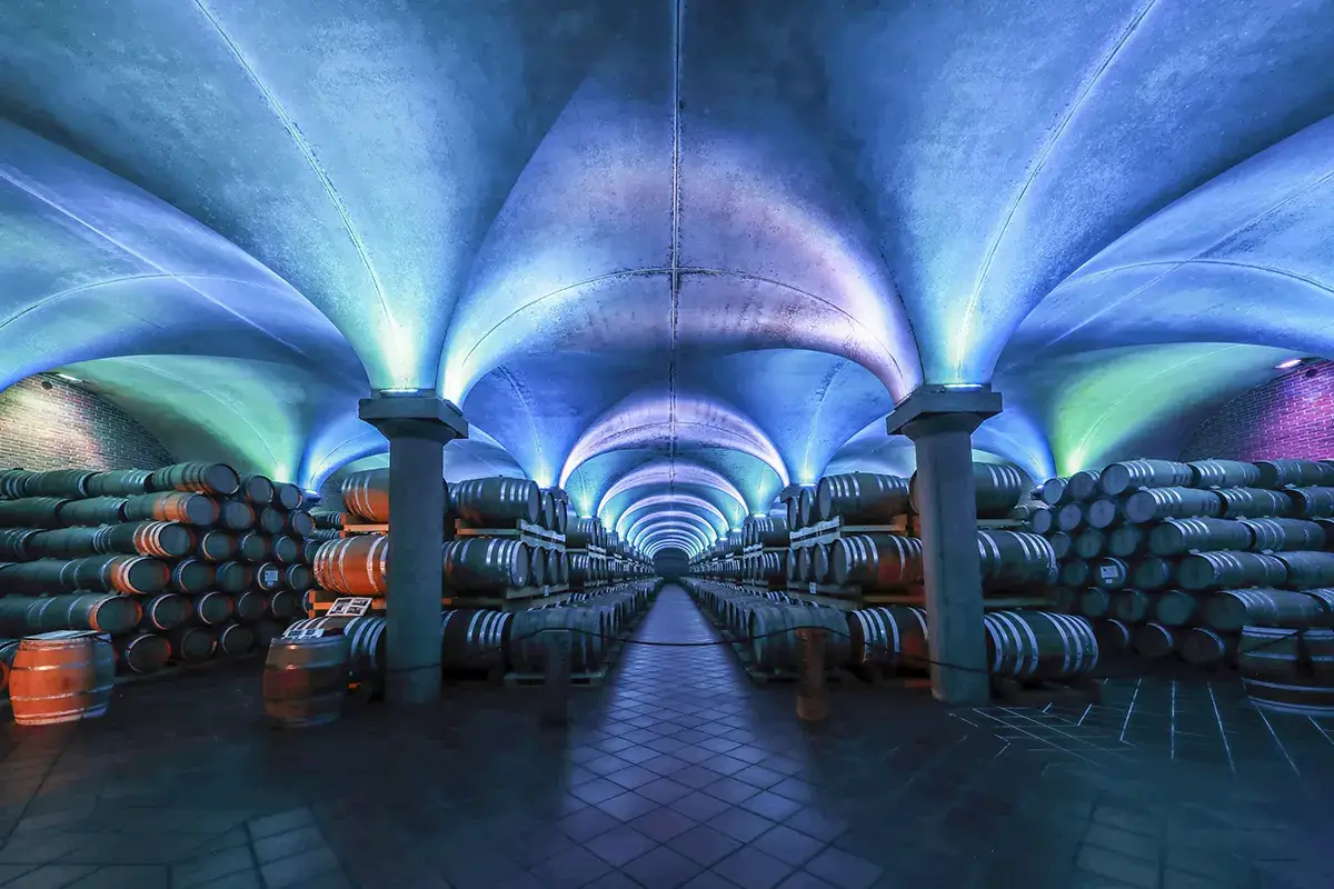 Botti coccolate con la cromoterapia Distillerie Berta, la grappa per raccontare un territorio