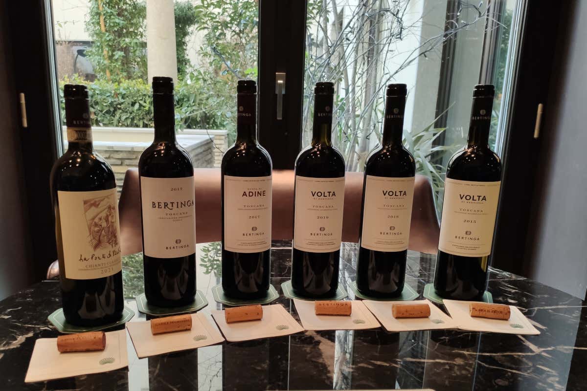 Bertinga e quel “Merlot non Merlot”, nel cuore del Chianti Classico