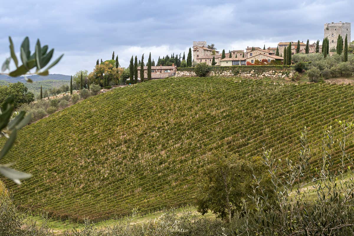 Bertinga e quel “Merlot non Merlot”, nel cuore del Chianti Classico