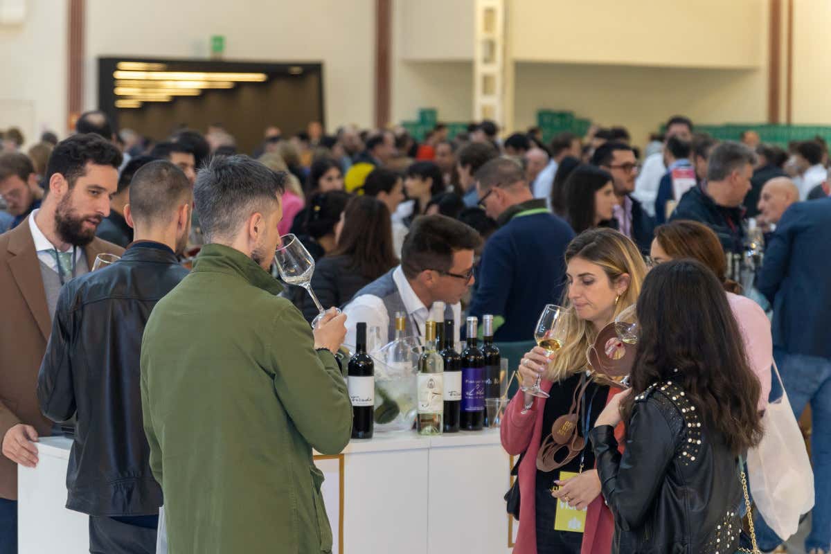 Degustazioni, masterclass e premi: il programma di Best Wine Stars 2024