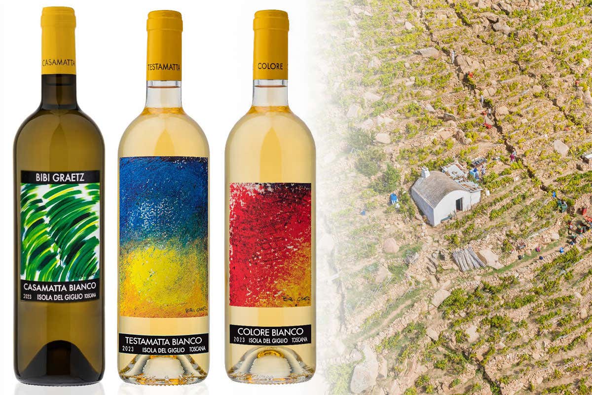 Testamatta e Casamatta: i vini icona di Bibi Graetz in Toscana