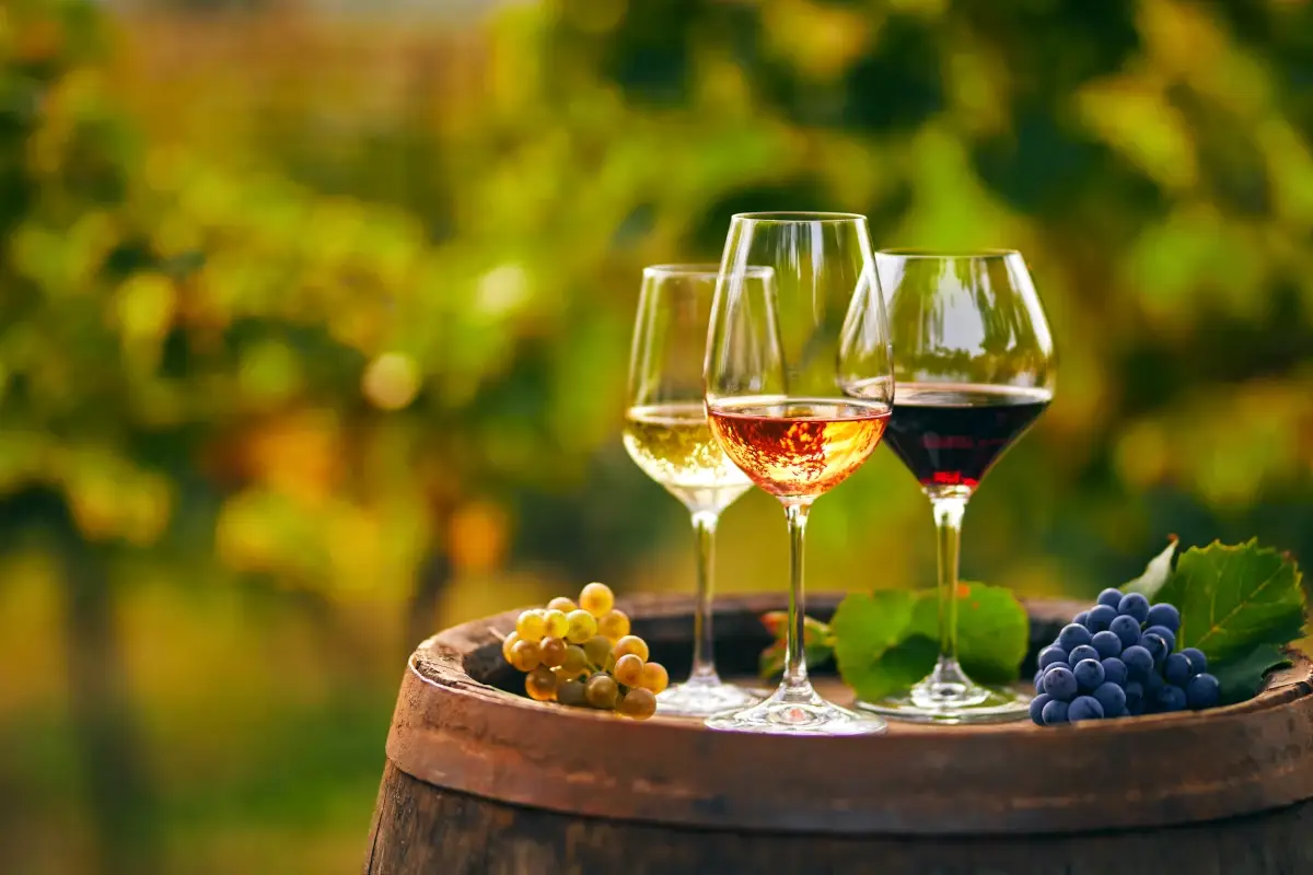 &laquo;Il Vino? Molto pi&ugrave; che una bevanda alcolica. E&rsquo; un alimento della cultura europea&raquo;