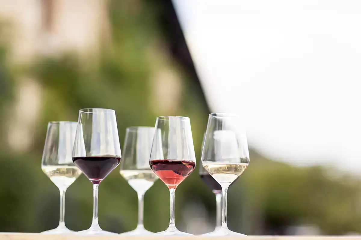 Territori differenti e vini differenti, sempre pi&ugrave; apprezzati dai mercati - Foto Florian Andergassen Viaggio nell&rsquo;Alto Adige vitivinicolo