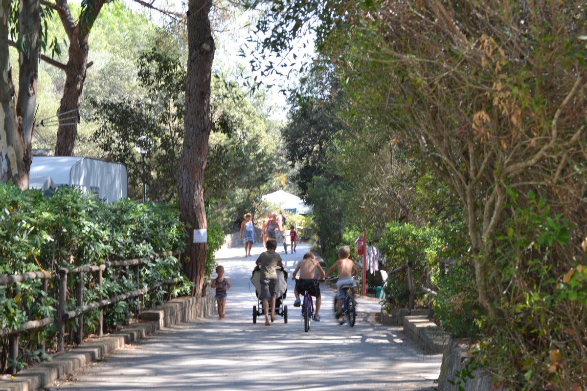 I bambini ameranno i percorsi in bicicletta del Camping village Santapomata Quattro hotel in Italia per vacanze con la famiglia senza spendere troppo