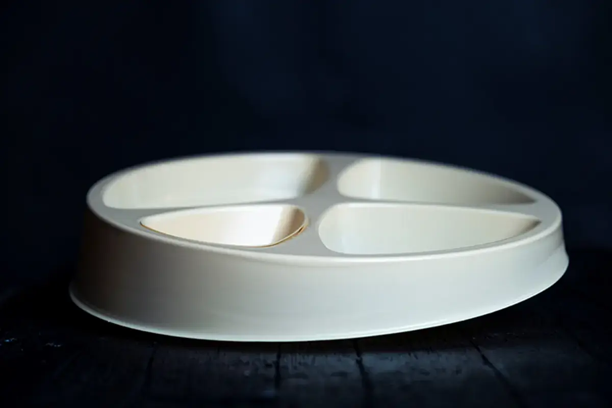 Billo Unico, sano e di design Ecco Billo il piatto perfetto
