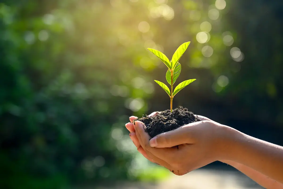 Il bio non &egrave; pi&ugrave; solo una moda In Italia aziende e consumatori sempre pi&ugrave; green