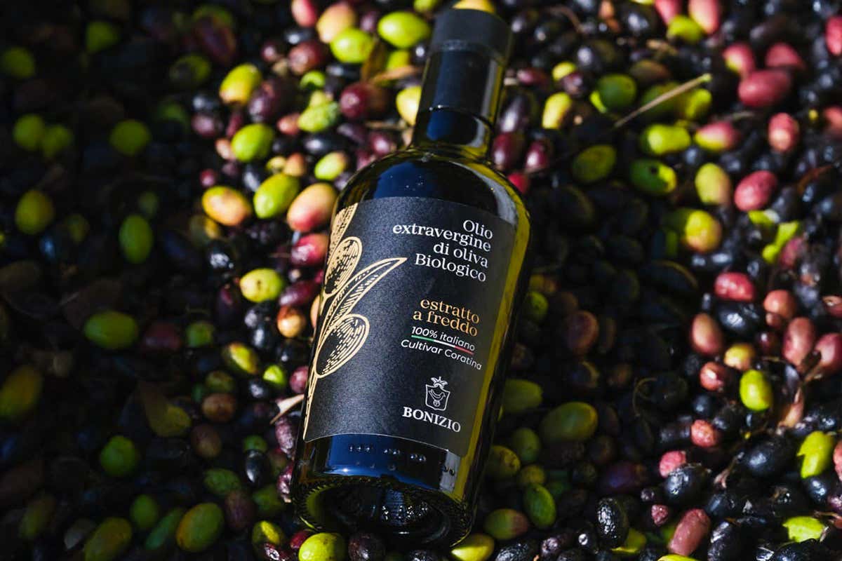 L'olio Evo di Bonizio
