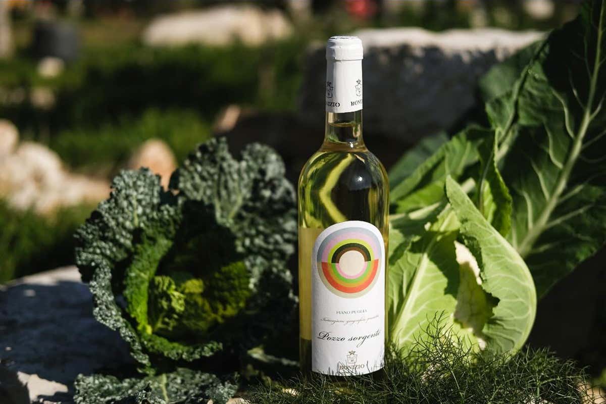 Pozzo Sorgente Fiano Puglia Igp Bio