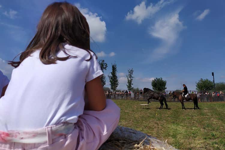 Lo spettacolo del cavallo Bardigiano (Biodiversit&agrave; agricolaIn migliaia al Rural Festival)