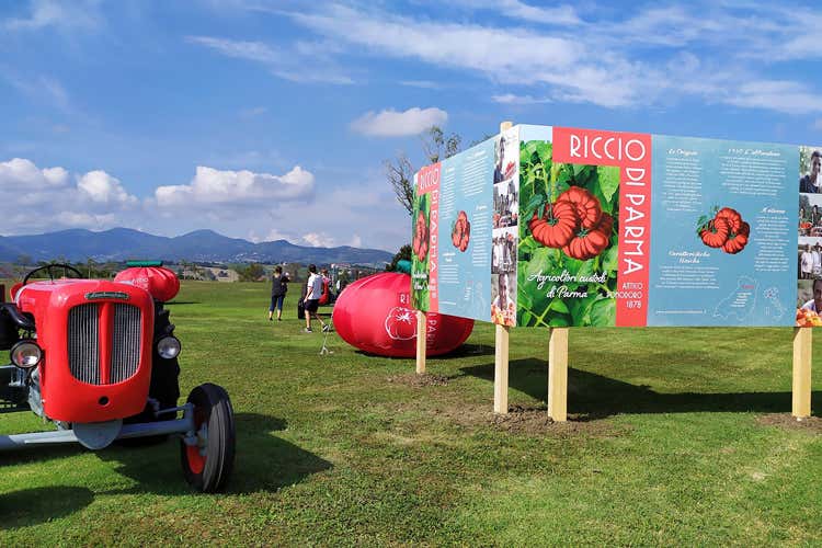 L'angolo del pomodoro Riccio di Parma (Biodiversit&agrave; agricolaIn migliaia al Rural Festival)