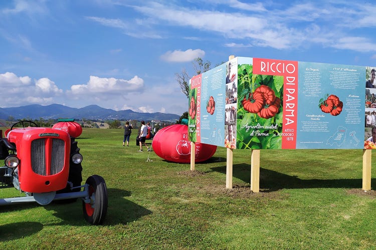 L'angolo del pomodoro Riccio di Parma (Biodiversità agricolaIn migliaia al Rural Festival)