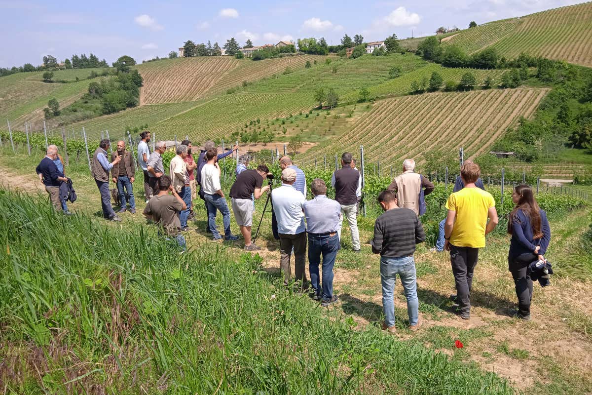 Biodivigna: un modello per la gestione sostenibile del vigneto in Oltrepò pavese Biodivigna: un modello per la gestione sostenibile del vigneto in Oltrepò pavese
