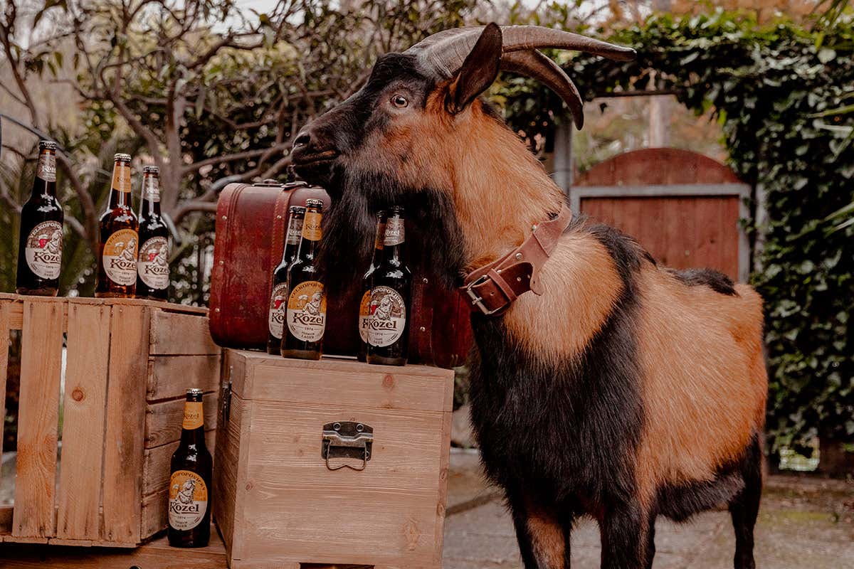 Olda Il Villaggio Kozel sbarca per tre giorni a Milano