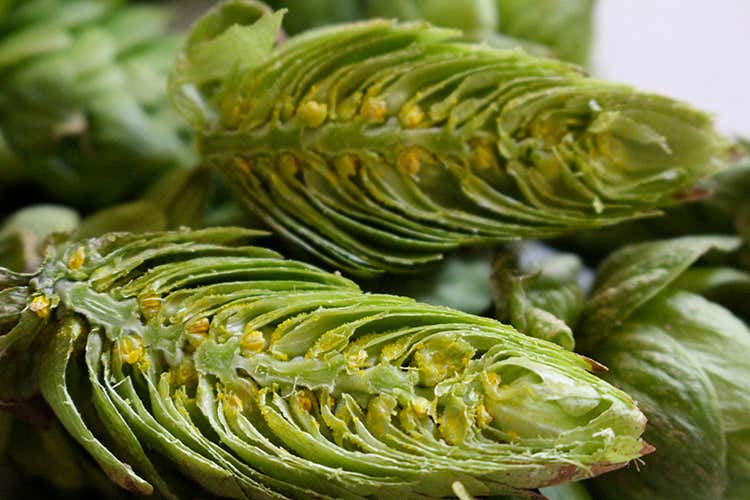 foto: Rebeers (La birra artigianale in Puglia si fa strada con tenacia)