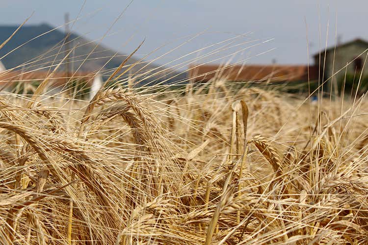 foto: Rebeers (La birra artigianale in Puglia si fa strada con tenacia)