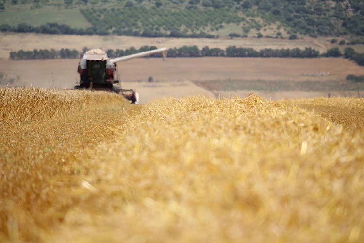 foto: Rebeers (La birra artigianale in Puglia si fa strada con tenacia)