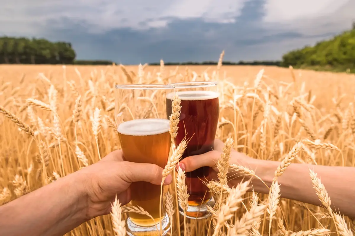 Trebbie di birra: da rifiuto a biocombustibile