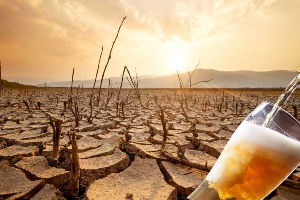 Birra, prezzi in rialzo per il climate change. E in Italia il settore tentenna