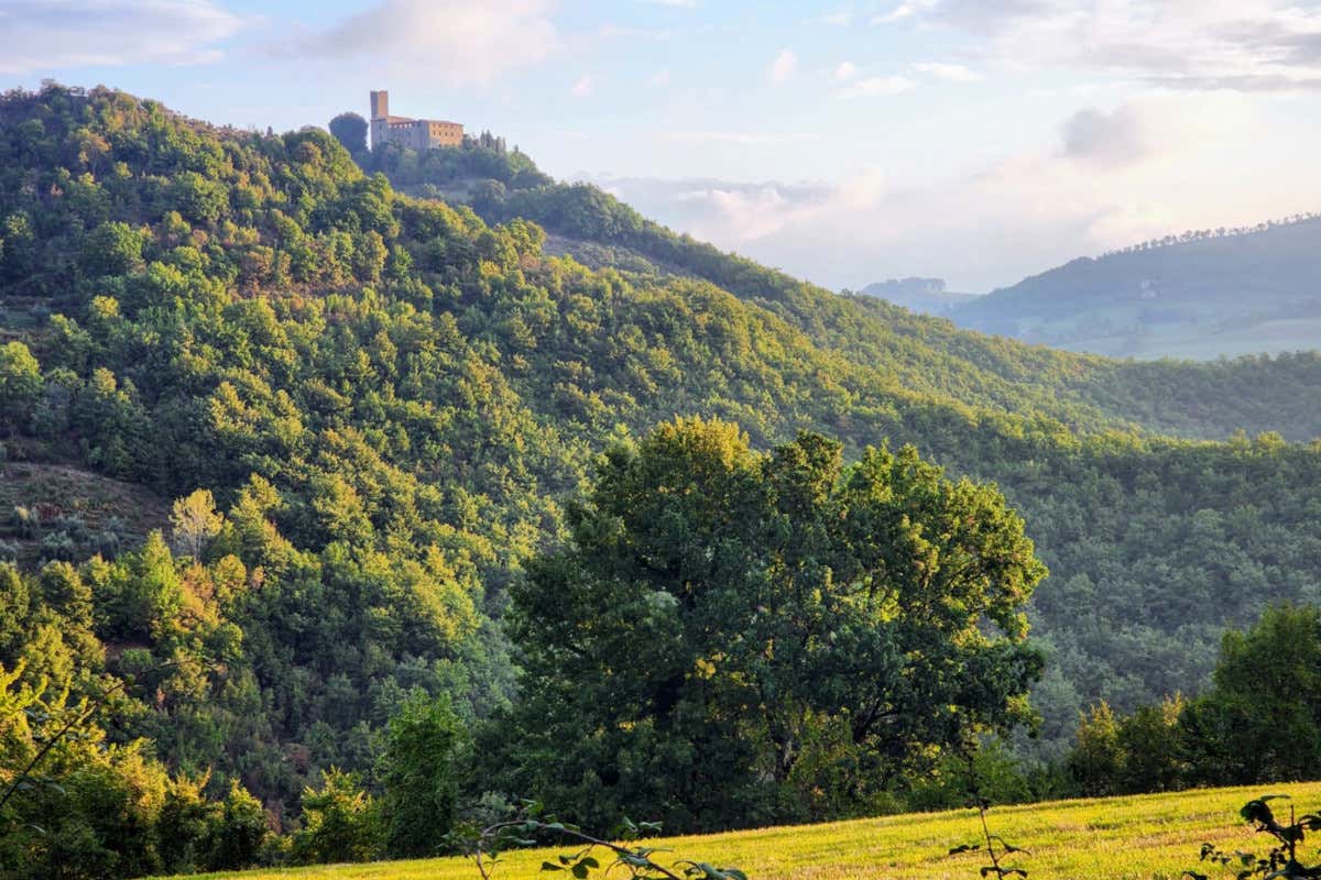 Vista sul castello di Biscina