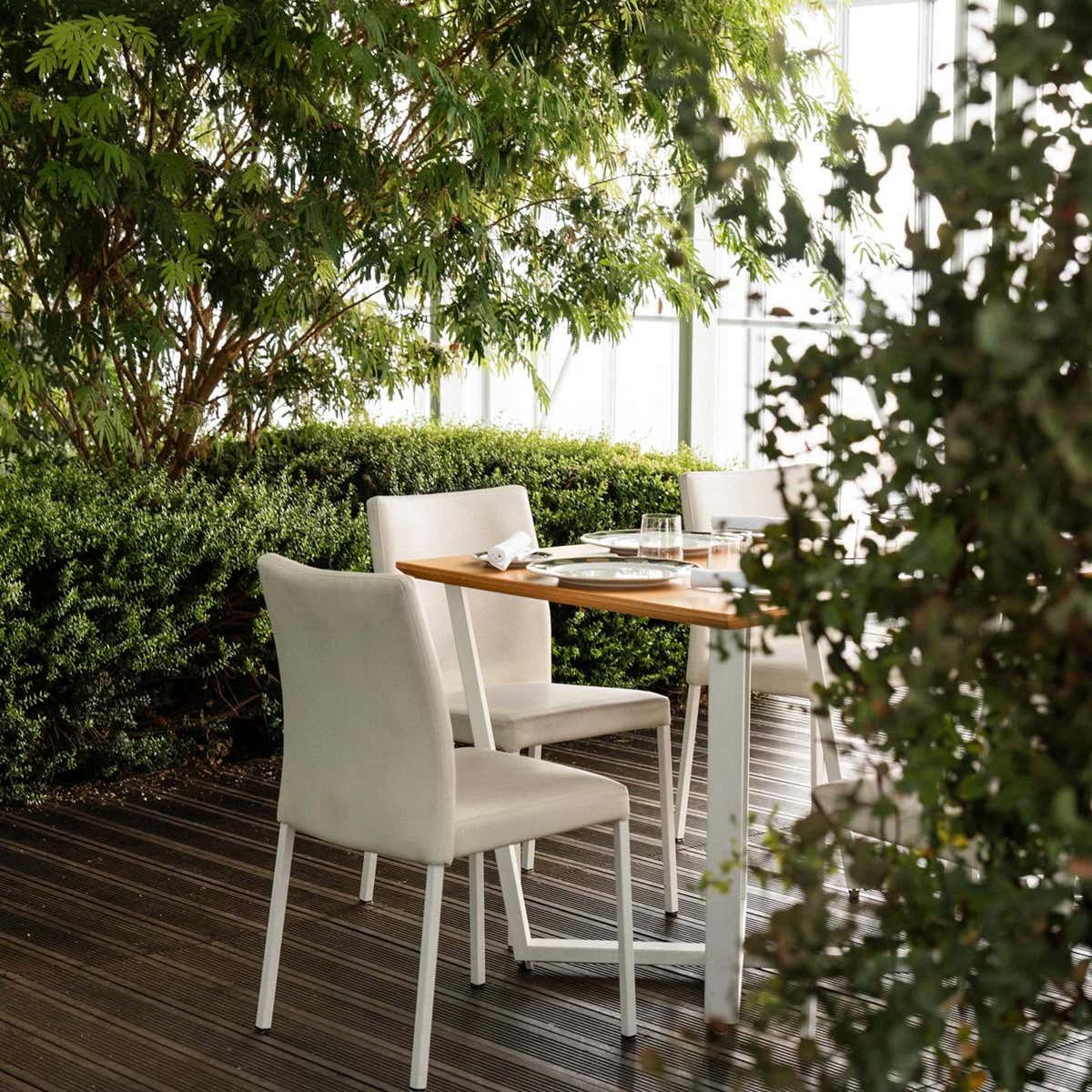 Il Bistrot Piano35, immerso nella serra bioclimatica