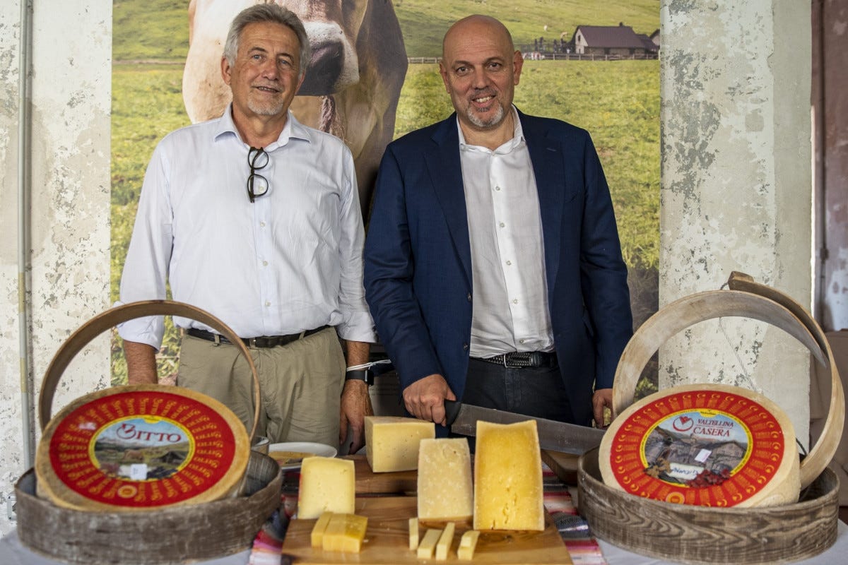 Bitto e Casera: il fatturato dei due formaggi sale a 13,7 milioni di euro