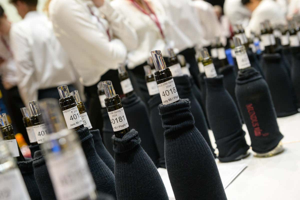 Mundus Vini: l'Italia è il Paese più premiato alla Degustazione di Primavera