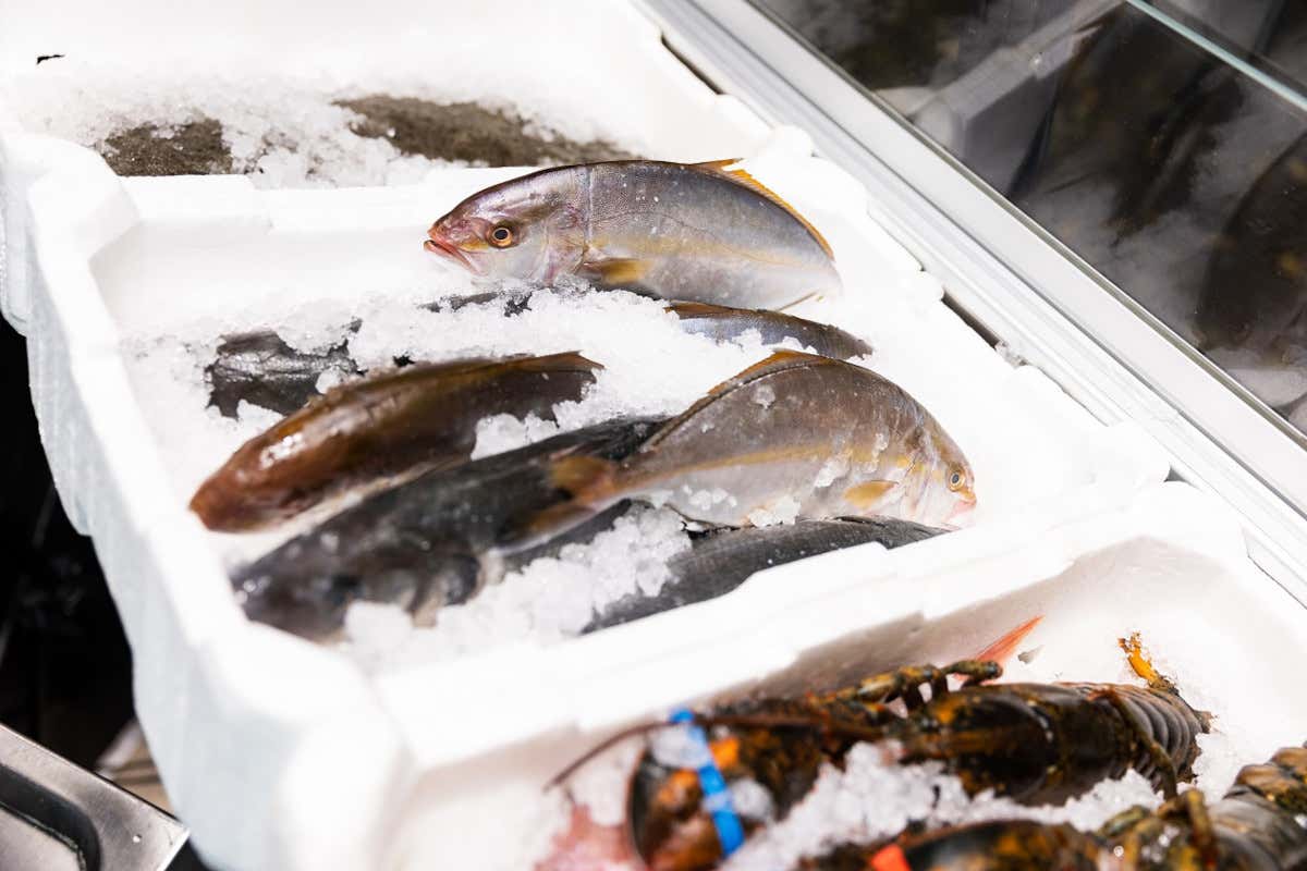 “La bocca di Roma”: le interpretazioni del pescato tra rigore e creatività “La bocca di Roma”: le interpretazioni del pescato tra rigore e creatività