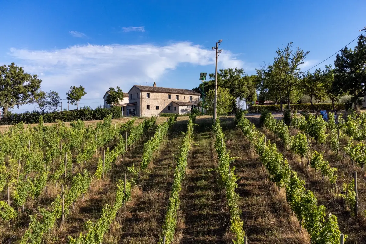 FOTO La Bolla del Borgo a Corinaldo, questa &ldquo;stanza&rdquo; non ha pi&ugrave;&hellip; soffitto