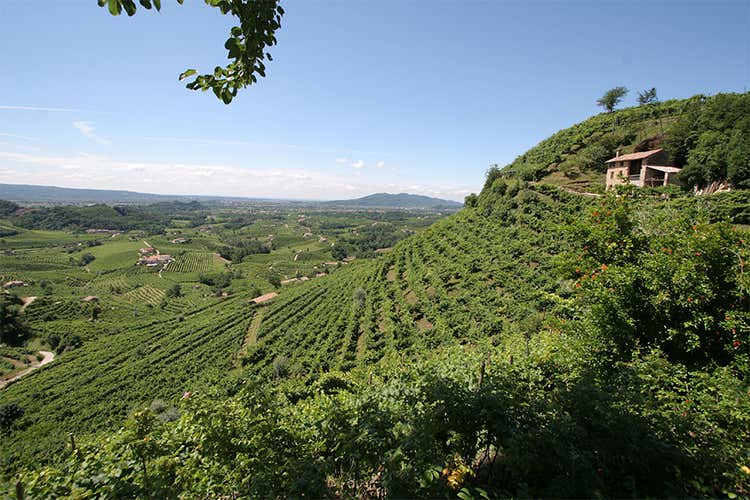 Nelle bollicine Docg di Col Vetoraz tutta l’armonia di un territorio unico Nelle bollicine Docg di Col Vetoraz tutta l’armonia di un territorio unico