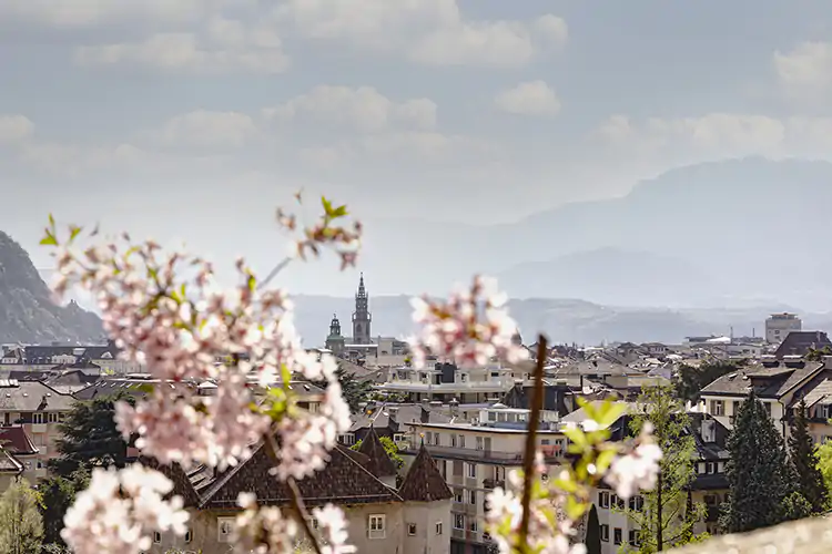 Bolzano &egrave; pronta a ripartire e lo fa nella sua veste pi&ugrave; bella Voglia di perdersi nella natura? A Bolzano con bici, fiori e musica